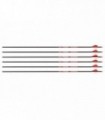 Bloodsport Hunter Extreme Arrow, 400 Spine, 6 Pack
