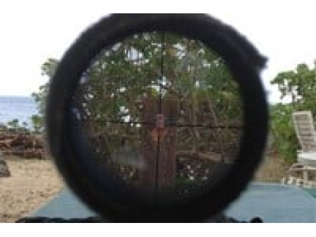 Crosman 1077 Air Rifle