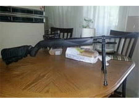 Crosman 1077 Air Rifle