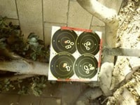 Beeman QB78S CO2 Air Rifle