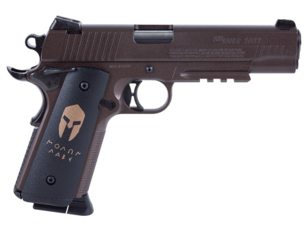 Sig Sauer 1911 Spartan Full Metal Blowback CO2 BB Pistol