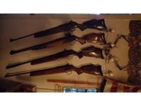 Birchwood Casey Gun Stock Wax, 3 oz.