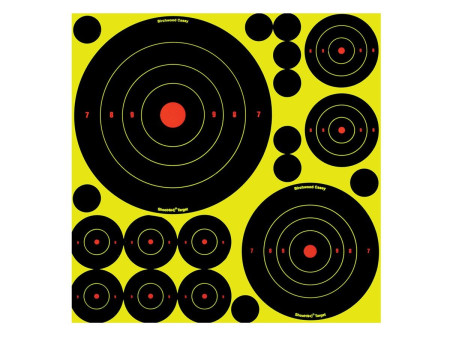 Birchwood Casey Shoot-N-C Variety Pack, 50 Bullseye Targets + 50 Pasters