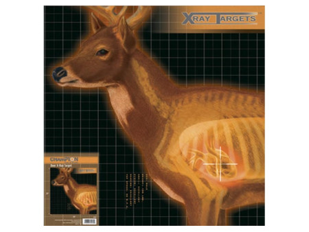 Champion X-Ray Paper Targets, Deer, 25x25 - 6pk
