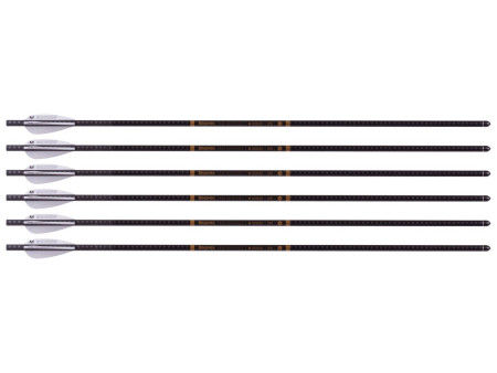 Benjamin M Series M600 Airbow Arrows, 6 pack