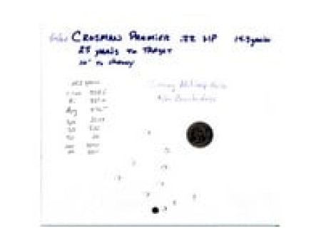 Crosman Premier .22 Cal, 14.3 Grains, Hollowpoint, 500ct