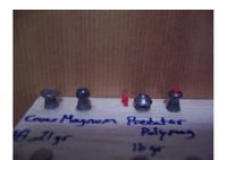 H&N Crow Magnum .22 Cal, 18.21 Grains, Hollowpoint, 200ct