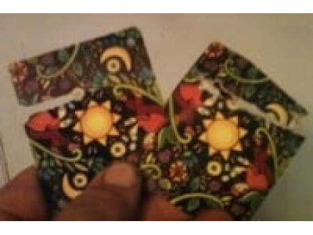 H&N Crow Magnum .22 Cal, 18.21 Grains, Hollowpoint, 200ct