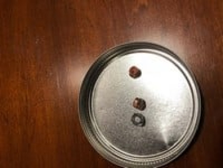 H&N Field Target Trophy Power Copper Plated, .22 Cal, 14.66 Grains, Round Nose, 200ct