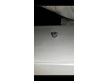 H&N Grizzly Pellets, .25 Cal, 31 Grains, Hollowpoint, 150ct