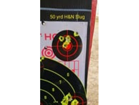 H&N Grizzly Pellets, .357 Cal, 82 Grains, Hollowpoint, 85ct