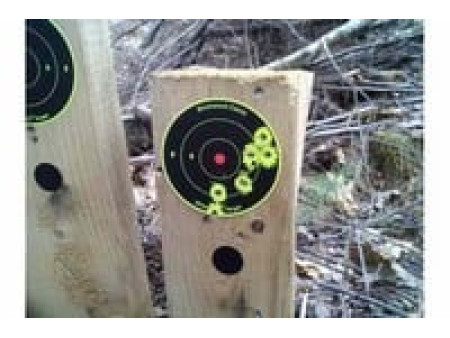 H&N Rabbit Magnum II .22 Cal, 25.62 Grains, Cylindrical, Solid, 200ct