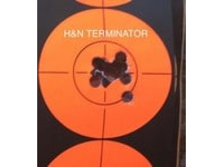 H&N Terminator Pellets, .22 Cal, 16.36 Grains, Hollowpoint, 200ct