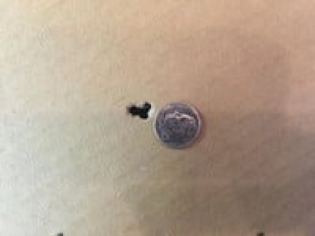 JSB Diabolo Exact Jumbo Express .22 Cal, 14.3 Grains, Domed, 500ct