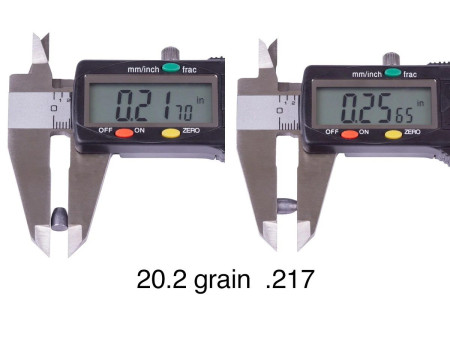 NSA Slug Sampler, .217 Cal, 160ct
