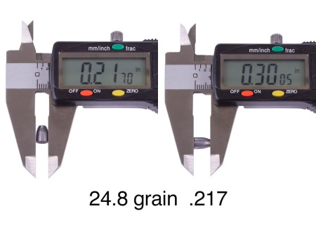 NSA Slug Sampler, .217 Cal, 160ct