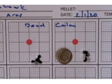 Predator GTO .22 Cal, 11.75 Grains, Domed, Lead-Free, 200ct