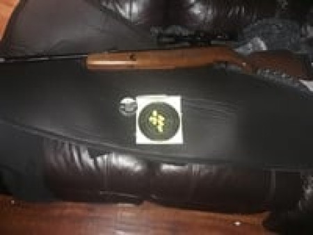 Predator GTO .25 Cal, 16.54 Grains, Domed, Lead-Free, 150ct