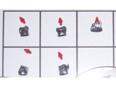 Predator Polymag .22 Cal, 16.0 Grains, Pointed, 200ct