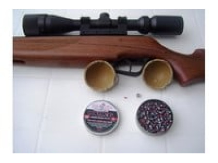 Predator Polymag .22 Cal, 16.0 Grains, Pointed, 200ct