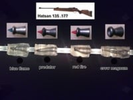 Predator Polymag .22 Cal, 16.0 Grains, Pointed, 200ct