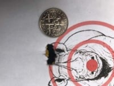 Predator Polymag .22 Cal, 16.0 Grains, Pointed, 200ct