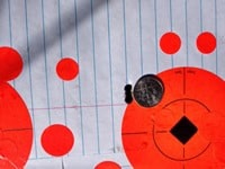 Predator Polymag Shorts, .22 Cal Pellets, 15.75 Grains, Pointed, 200ct