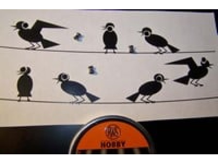 RWS Hobby .177 Cal, 7.0 Grains, Wadcutter, 300ct