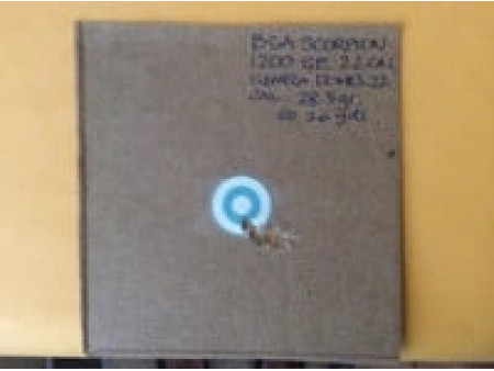 Seneca .22 Cal, 28.5 Grains, Domed, 125ct