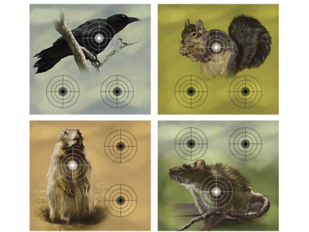 Crosman Varmint Target Block