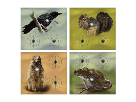 Crosman Varmint Targets, 20-Pack