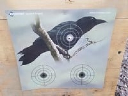 Crosman Varmint Targets, 20-Pack