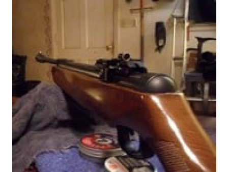 Williams Diopter Sight