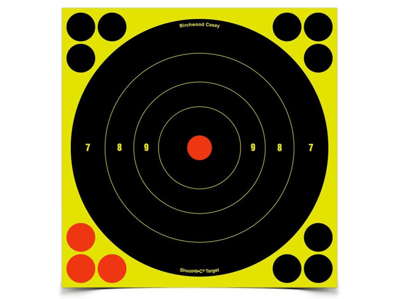 Birchwood Casey Shoot-N-C Targets, 8" Bullseye, 30 Targets + 120 Pasters