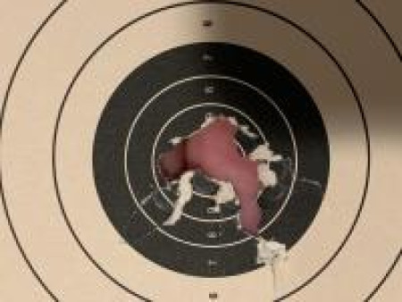 Air Venturi V10 Match Air Pistol