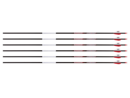 Bloodsport Judgement Arrow, 350 Spine, 6 Pack