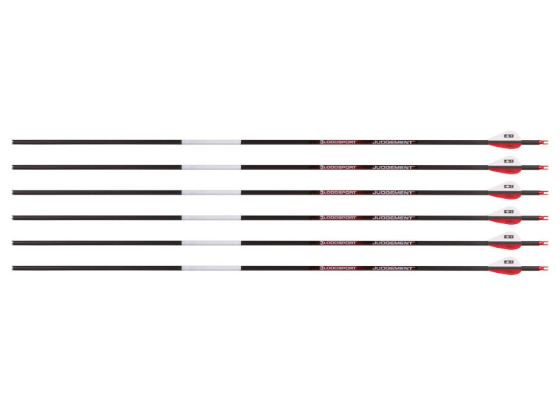 Bloodsport Judgement Arrow, 350 Spine, 6 Pack