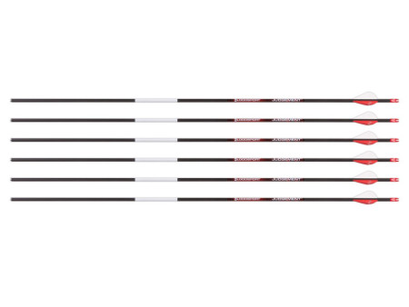 Bloodsport Judgement Arrow, 400 Spine, 6 Pack